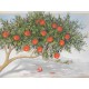 ΠΙΝΑΚΕΣ ΝΟ 21DO